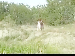 Nude Beach - Hot Redhead Babe DP  CIM MMF Threesome