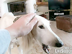 Perfect weekend pick-ups - LifeSelector