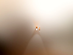 The Trickster - LifeSelector