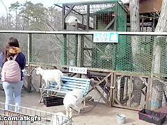 Gia Paige in You And Gia Enjoy A Wildlife Sanctuary In The Country - ATKGirlfriends