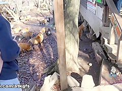 Gia Paige in You And Gia Enjoy A Wildlife Sanctuary In The Country - ATKGirlfriends