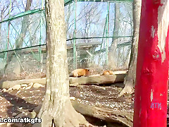 Gia Paige in You And Gia Enjoy A Wildlife Sanctuary In The Country - ATKGirlfriends