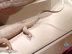 Elena Koshka in Elena Goes Out On A Day Trip With You - ATKGirlfriends