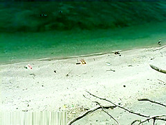 Bh 3039 N301 1024k