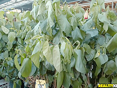 Jane Wilde & Jmac in Vibrating Panties For Jane - Pure18