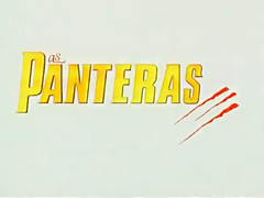 As Panteras - Festa do Bundalelecirc