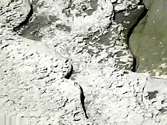 Bh 17810