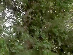 Mature big tit babe Vanessa Lane gets anal outdoors