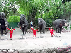 Moka Mora in Moka Is Having The Best Time Feeding Animals - ATKGirlfriends