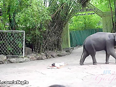 Moka Mora in Moka Is Having The Best Time Feeding Animals - ATKGirlfriends