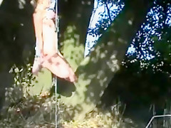 Hanging by TITS