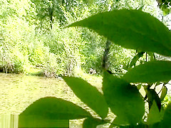 Bh 5779 Bs07b