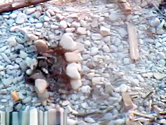 Bh 3957 Ks06e 1024k3085668589