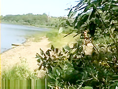 B7003b01full