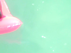 Bh 17557