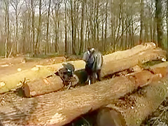 Je baise sur un arbre devant des voyeurs