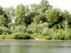 Bh 18549