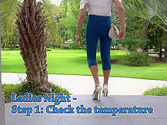 Julie's Ladies Night Primer