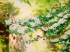 Fabulous Japanese chick in Crazy HD, Outdoor JAV scene