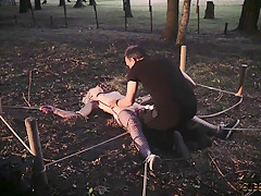 Collared slave foil wrapped to a tree