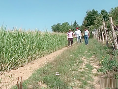 Partouze improvisée en extérieur