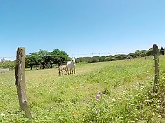 On S’Amuse Dans La Nature Version GoPro & IPhone