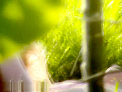 Bh 4442 S02d 1024k