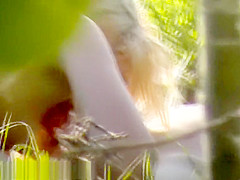 Bh 4442 S02d 1024k