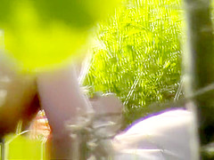 Bh 4442 S02d 1024k