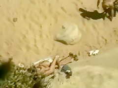 Un couple naturiste se touche et elle suce sur la plage