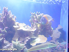 Jade Amber in Jade Has A Great Day Out With You, Then You Have A Sexy Sunset - ATKGirlfriends