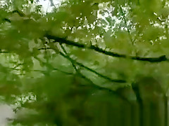 Cute Hooker Sucking Cock In The Forest