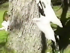 Long hair brunette strips & flashes in woods full bush