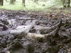 mud dress 31