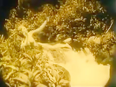 Nude Woman By Waterfall 1921