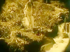 Nude Woman By Waterfall 1921