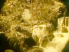 Nude Woman By Waterfall 1921