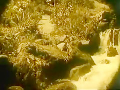 Nude Woman By Waterfall 1921