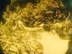 Nude Woman By Waterfall 1921