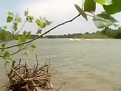 Sodo dans la lavande