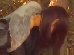 Great Looking Asian Teen Sucking Cock