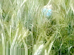 Bh 3701 Psex7 1024k694283415