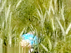 Bh 3701 Psex7 1024k694283415