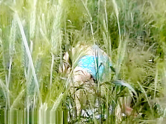 Bh 3701 Psex7 1024k694283415