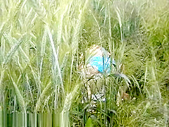 Bh 3701 Psex7 1024k694283415