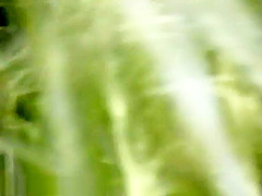 Bh 3701 Psex7 1024k694283415