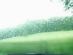 Feline la cochonne française