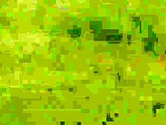 Le petit chaperon rouge