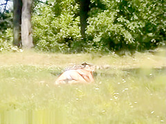 Bh 19775