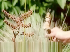 Brunette And Outdoor Fingering Vagina